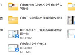 白鹤真自然流聊天技术（必学）