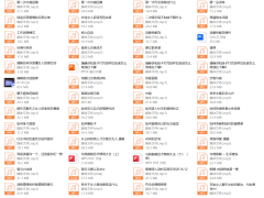 马飞飞学员课程