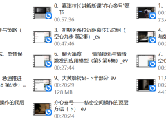 嘉琪《亦心叁号》