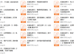 良叔《反操纵课理论版》19节